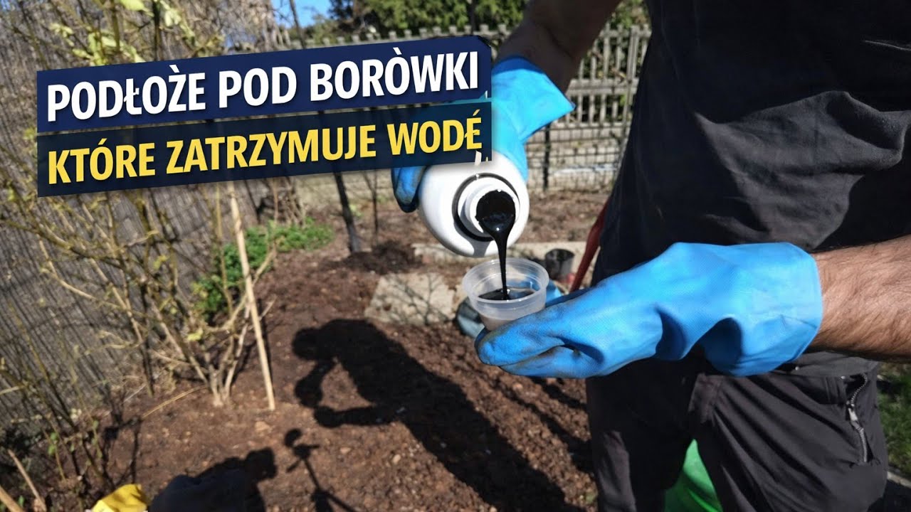 Podłoże pod borówke które zatrzymuje wodę i poprawia właściwości gleby CarboHort torf