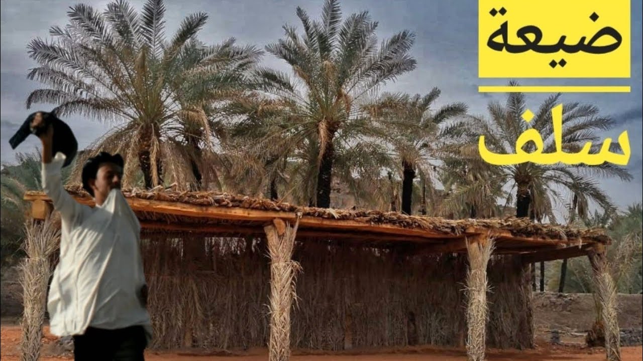 تحشيش بيت السعف  الجزء ( 1 )
