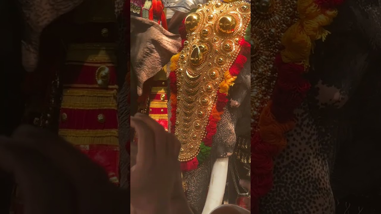Paliyam pooram 2026