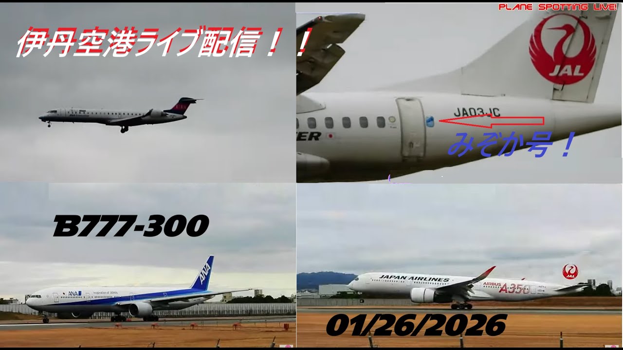 生中継！伊丹空港!!  Plane Spotting Itami Airport 01/26/2026