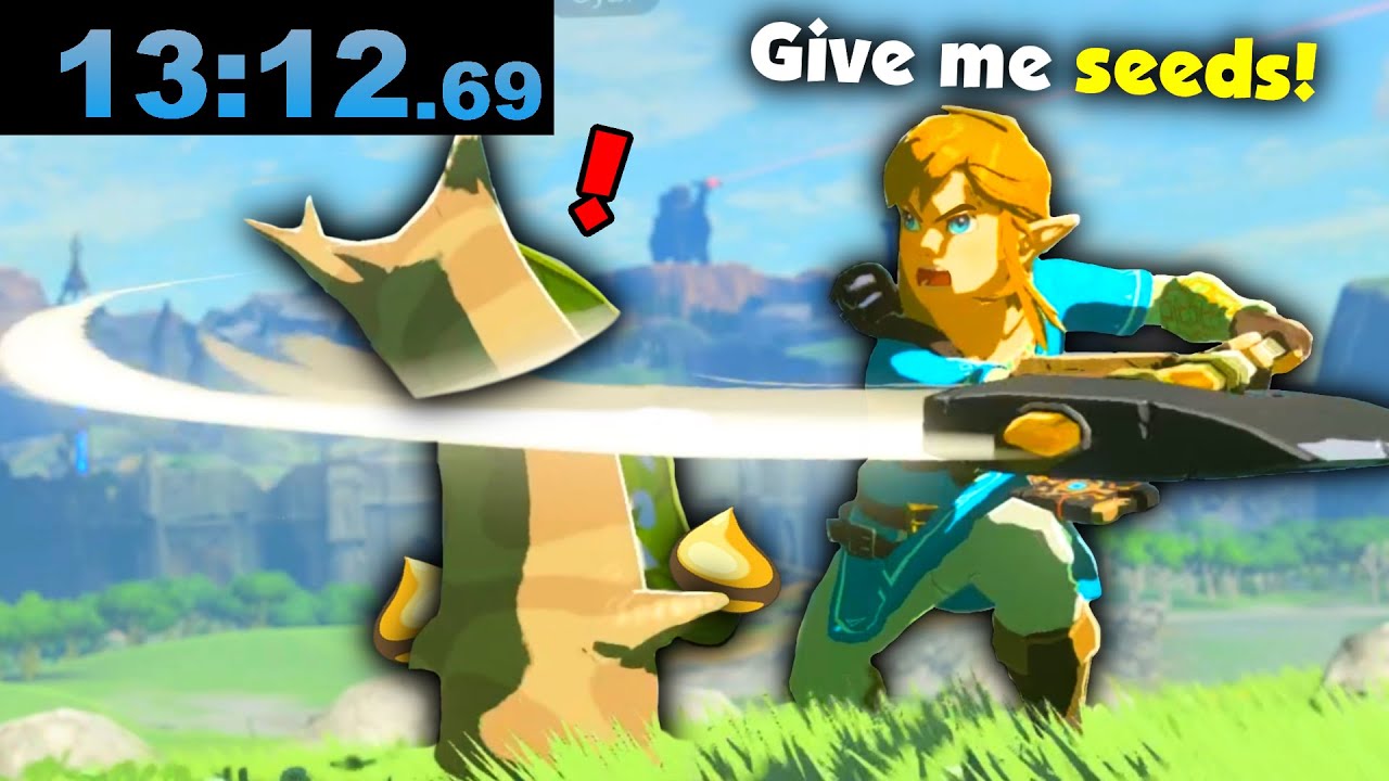 How I got 3rd Place on a Zelda Speedrun (Korok Seed%)