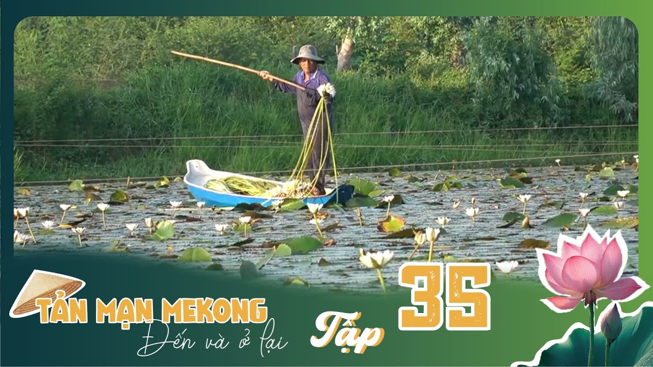 Tản Mạn M&ecirc; K&ocirc;ng, Đến V&agrave; Ở Lại | TẬP 35: Một tho&aacute;ng v&ugrave;ng bi&ecirc;n Đồng Th&aacute;p