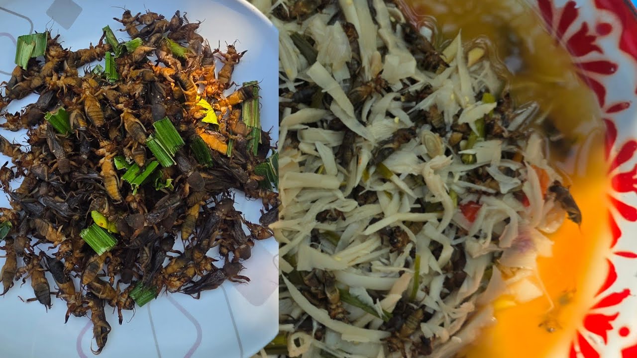 แกงแมงซอนใส่หน่อไม้ส้มขั่วแมงซอนแซบๆ