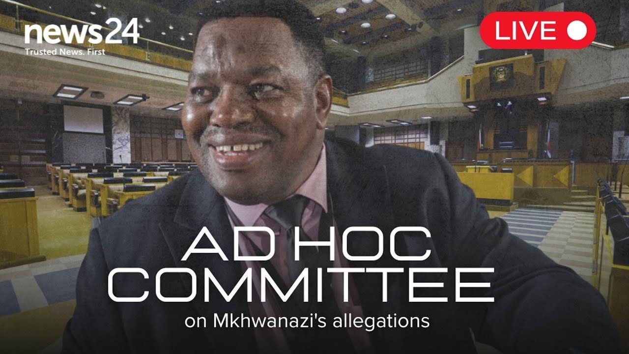 WATCH LIVE | Police Commissioner Fannie Masemola appears before ad hoc committee