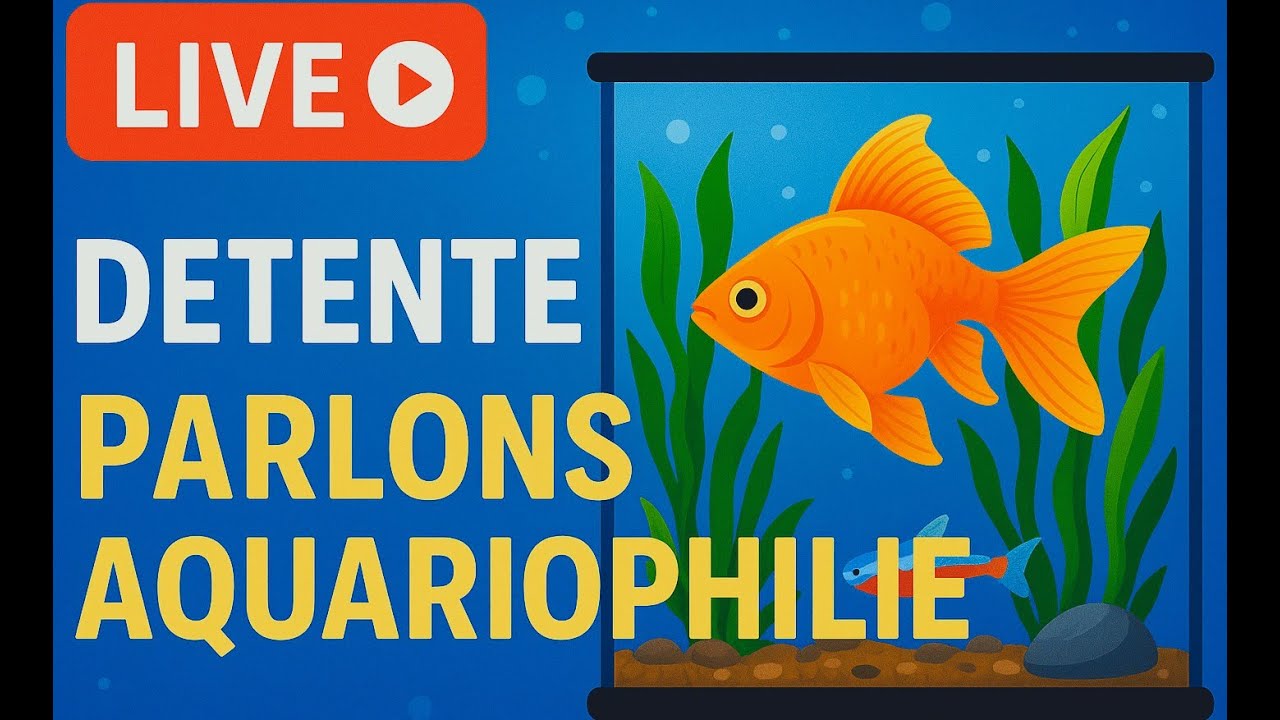 Live D&eacute;tente : Parlons Aquariophilie 🐠