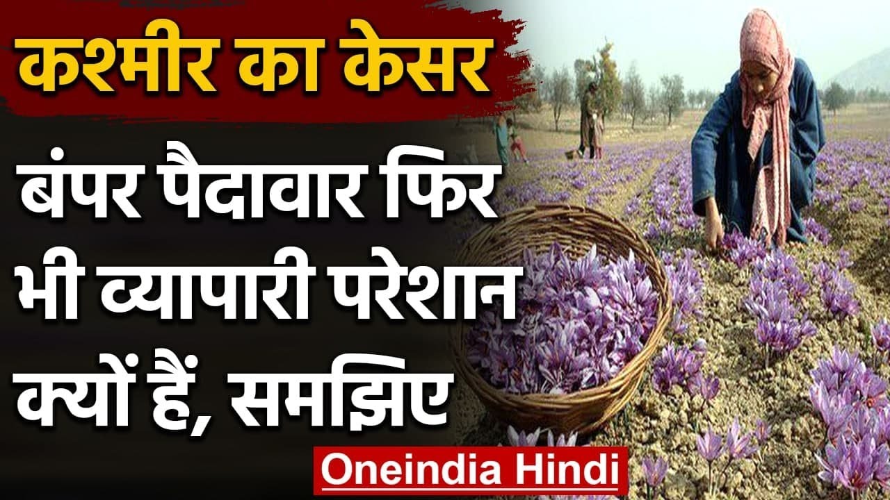 Jammu Kashmir में Saffron की हुई अच्छी पैदावार, फिर भी व्यापारी परेशान | वनइंडिया हिंदी