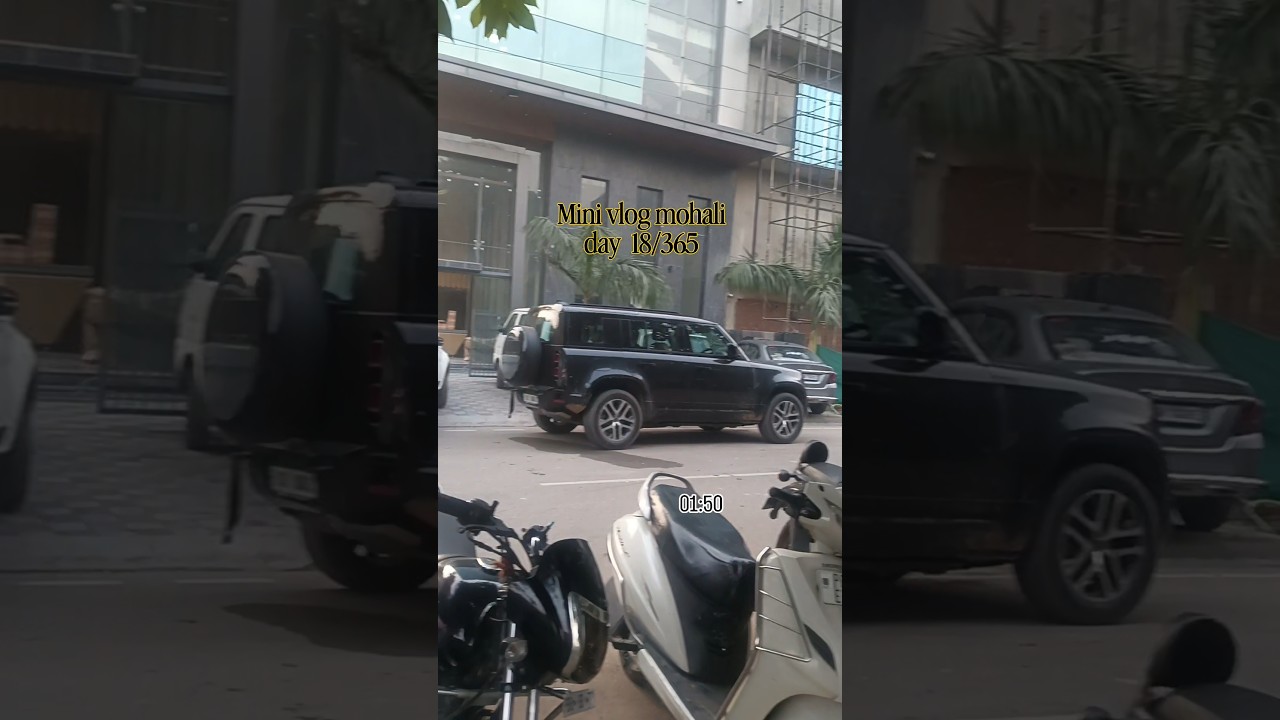 Mini vlog mohali Day 18/365 
