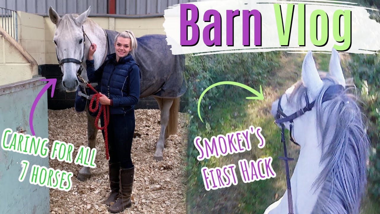 Barn Vlog | Hacking Smokey & Caring for All 7 Horses