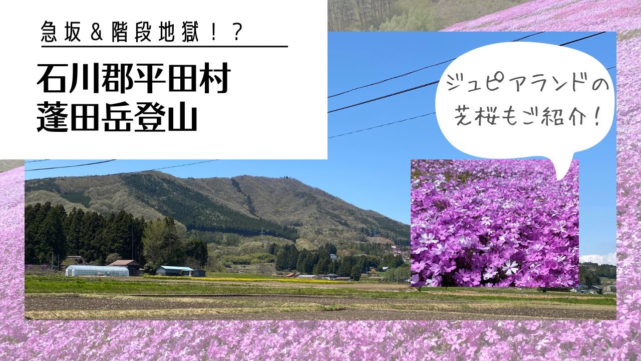 【芝桜の名所】福島県平田村　蓬田岳登山　急坂ヘロヘロ登山　階段は全部で何段？