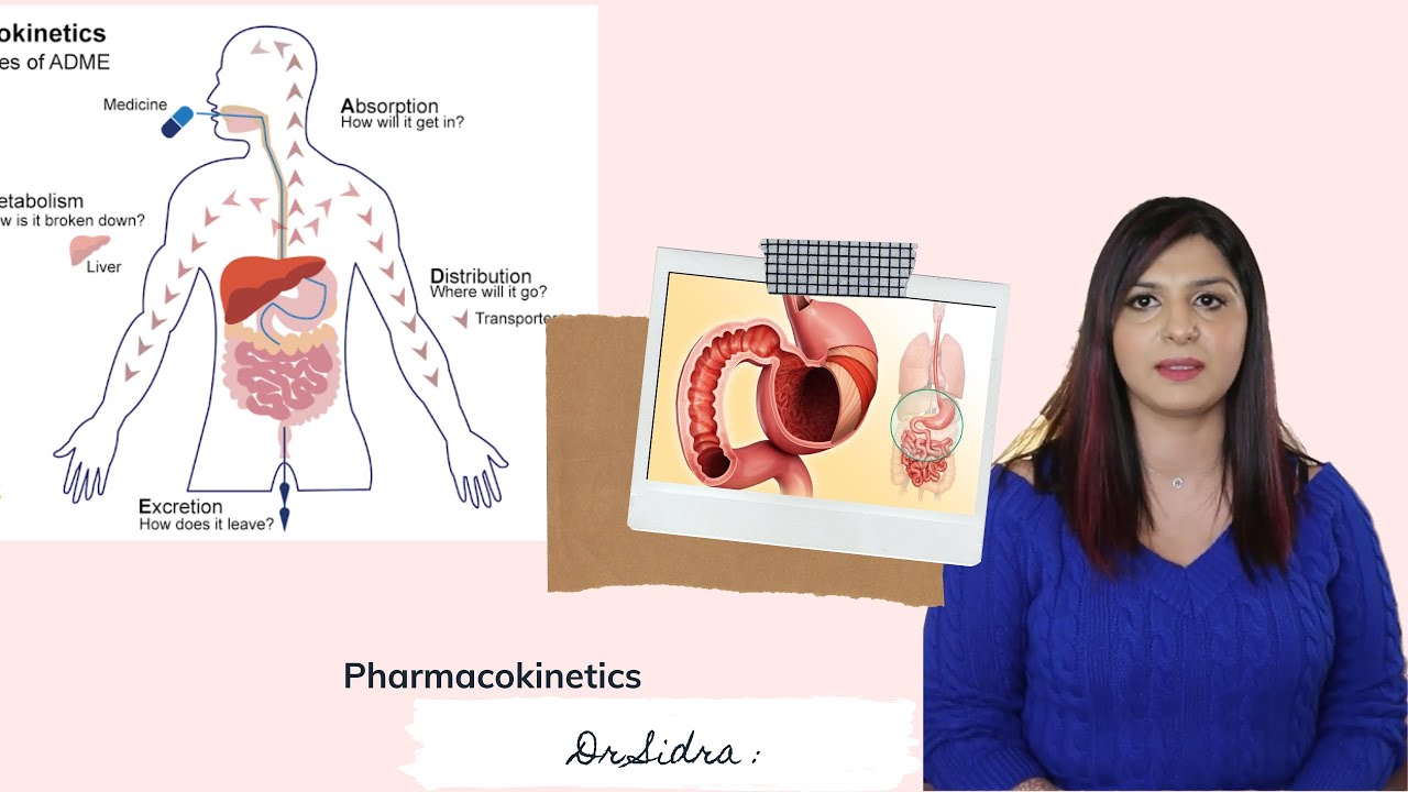 Pharmacokinetics | Drug Absorption | ADME | Absorption | Distribution | Metabolism | Excretion