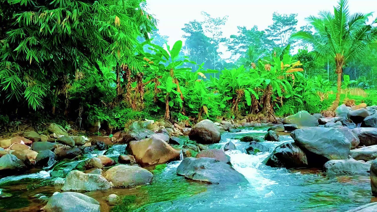 Flowing River Sounds for Deep Sleep and Relaxation with Peaceful Nature Ambience