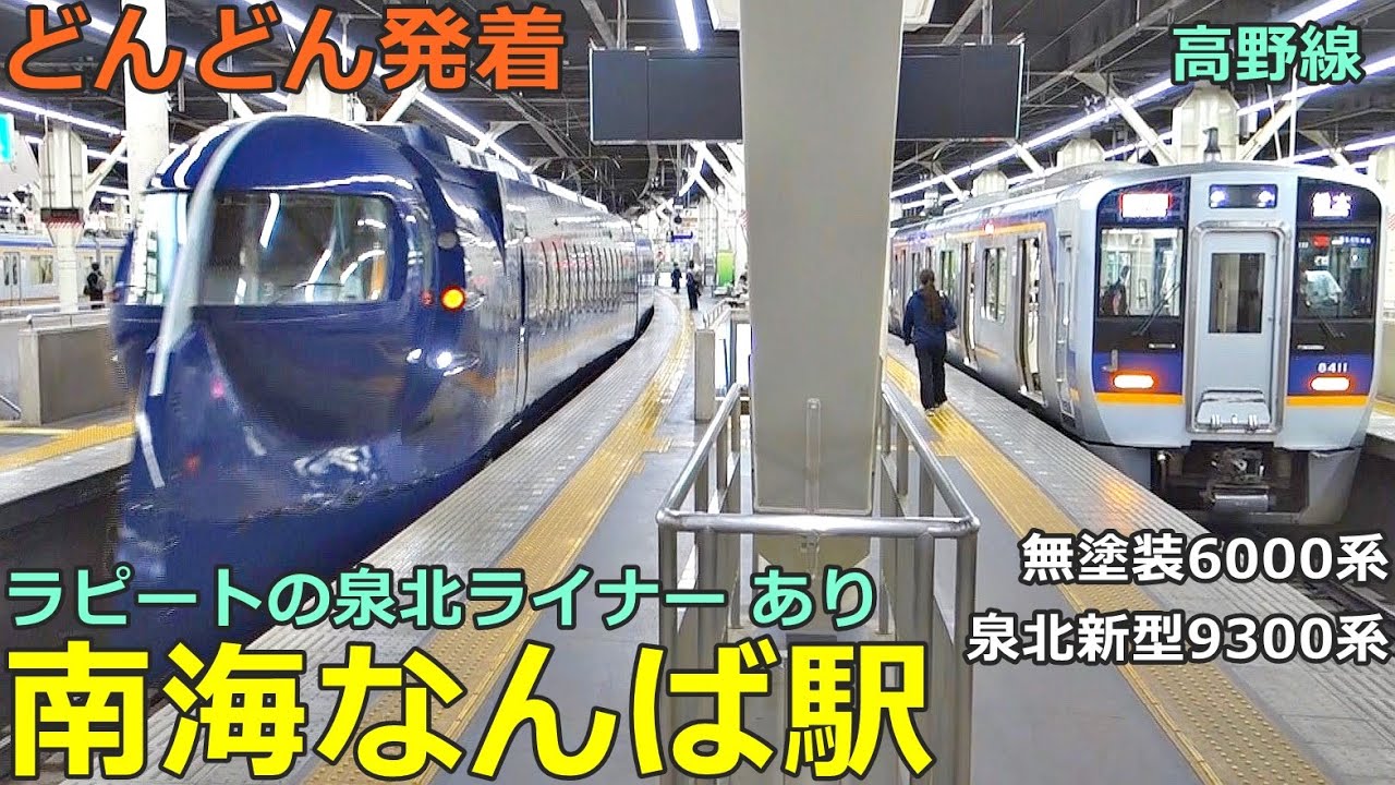 南海なんば駅 (高野線 4)🚃どんどん電車が発着！●ラピート車両の「泉北ライナー」、無塗装6000系、泉北93000系／こうや、りんかん 等（夕方ラッシュ）
