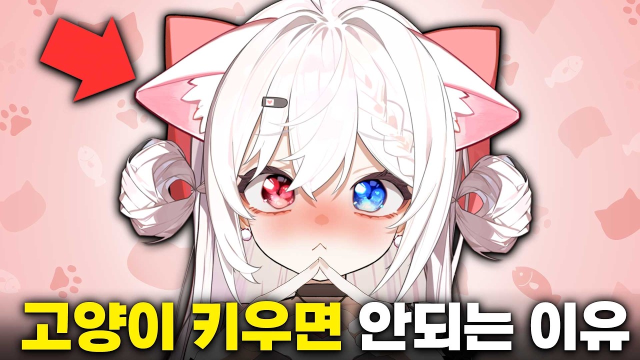 고양이를 키우려는 사람들에게 하는 현실적인 조언