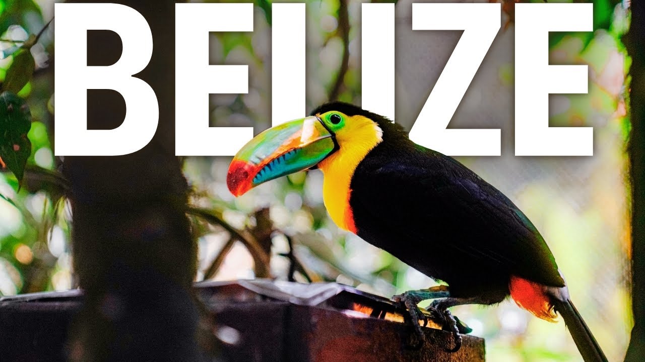 Belize Travel Guide | Best Places to Visit and Things to do in Belize in 2026