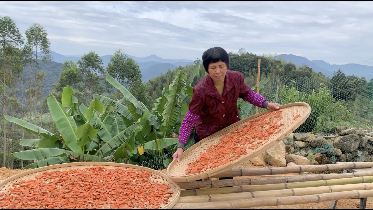 Sweet potato sun dried in winter gets you whole year snack冬日晒红薯，一年的零食就有了