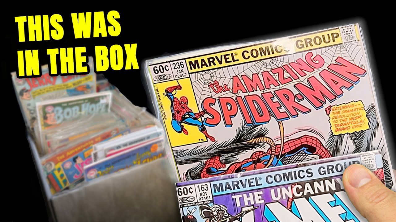 Inside a Comic Con Haul Only Serious Collectors Find