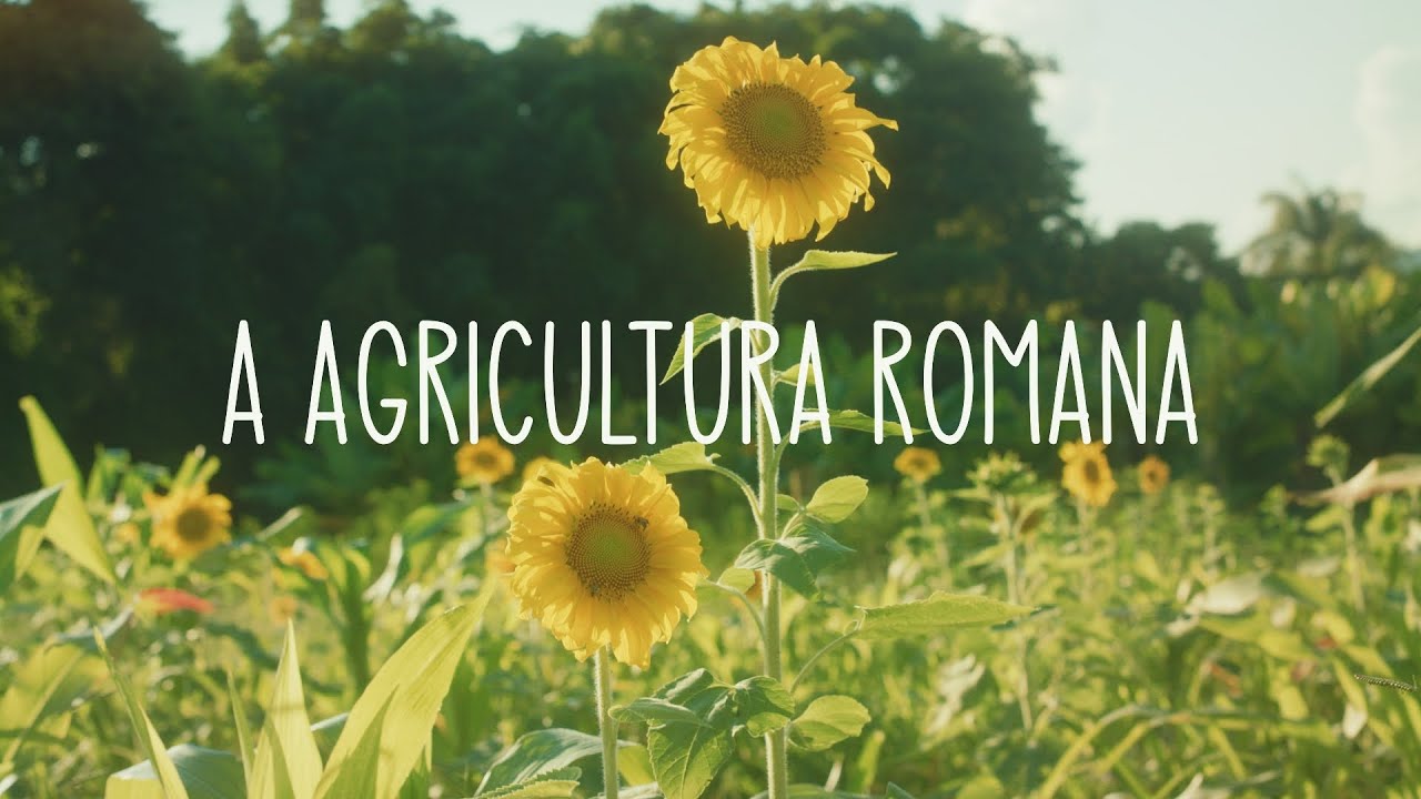 Agricultura e o Fim do Mundo - Capítulo II,  A agricultura de Roma