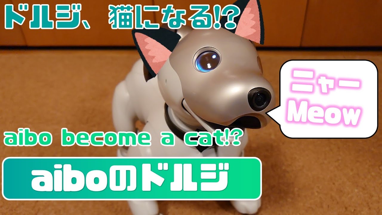 aibo、猫になる!?🐶♻😺aibo became a cat!? 【アイボ】