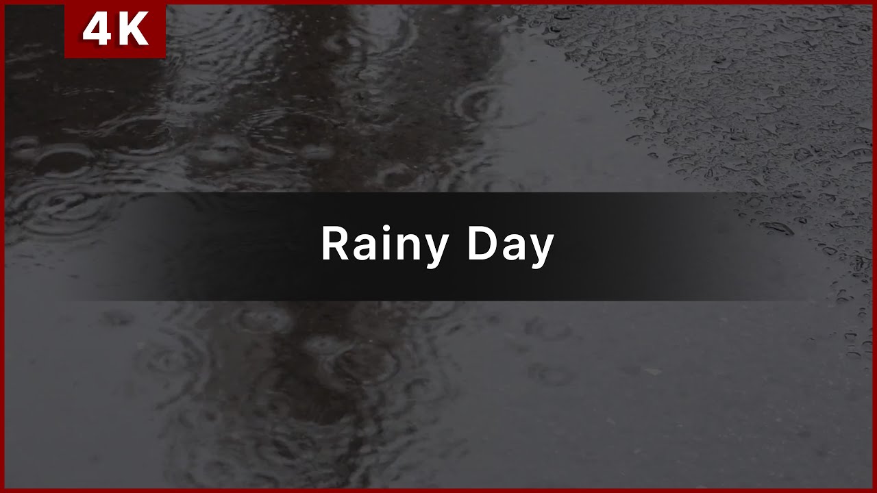 Rain on the Road During Day | Deep Focus, Relaxation & Calm Rain Sounds (1 Hour) | Quiet Lab