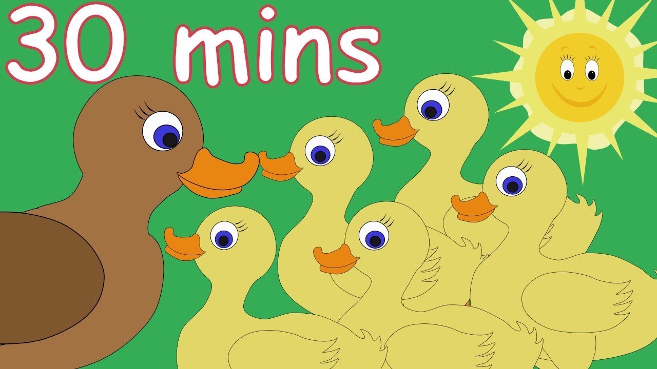 5 Little Ducks Went Swimming One Day And Lots More Nursery Rhymes! 30 minutes!
