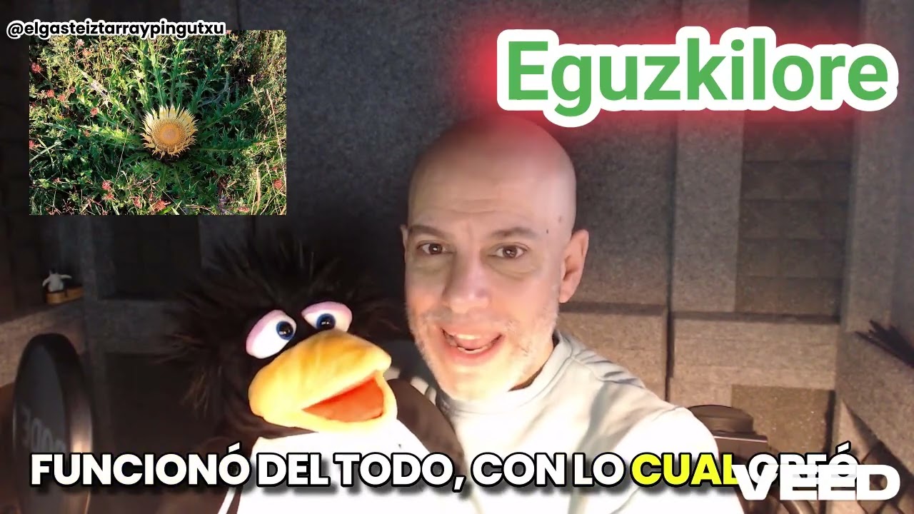 ¿Que es el Eguzkilore? #eguzkilore #euskadi #parati