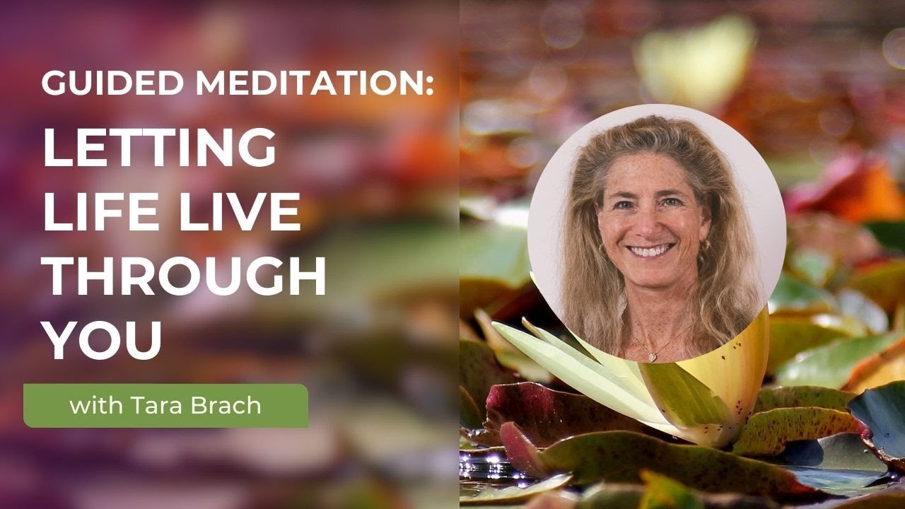Guided Meditation: Letting Life Live Through You with Tara Brach