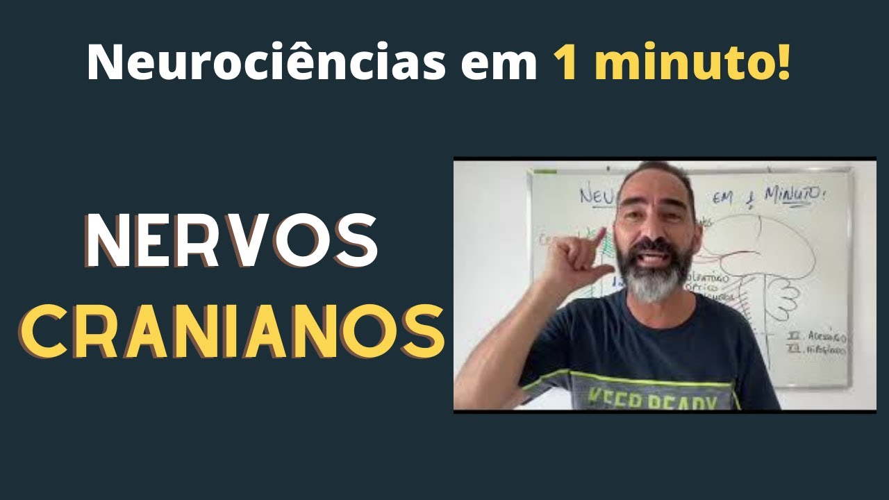 QUEM S&Atilde;O OS NERVOS CRANIANOS?