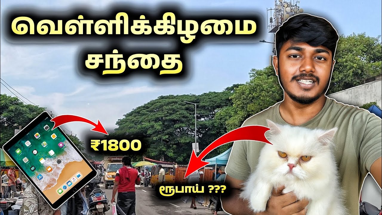 Pallavaram Friday Market Cat 😺 || Esakki Info