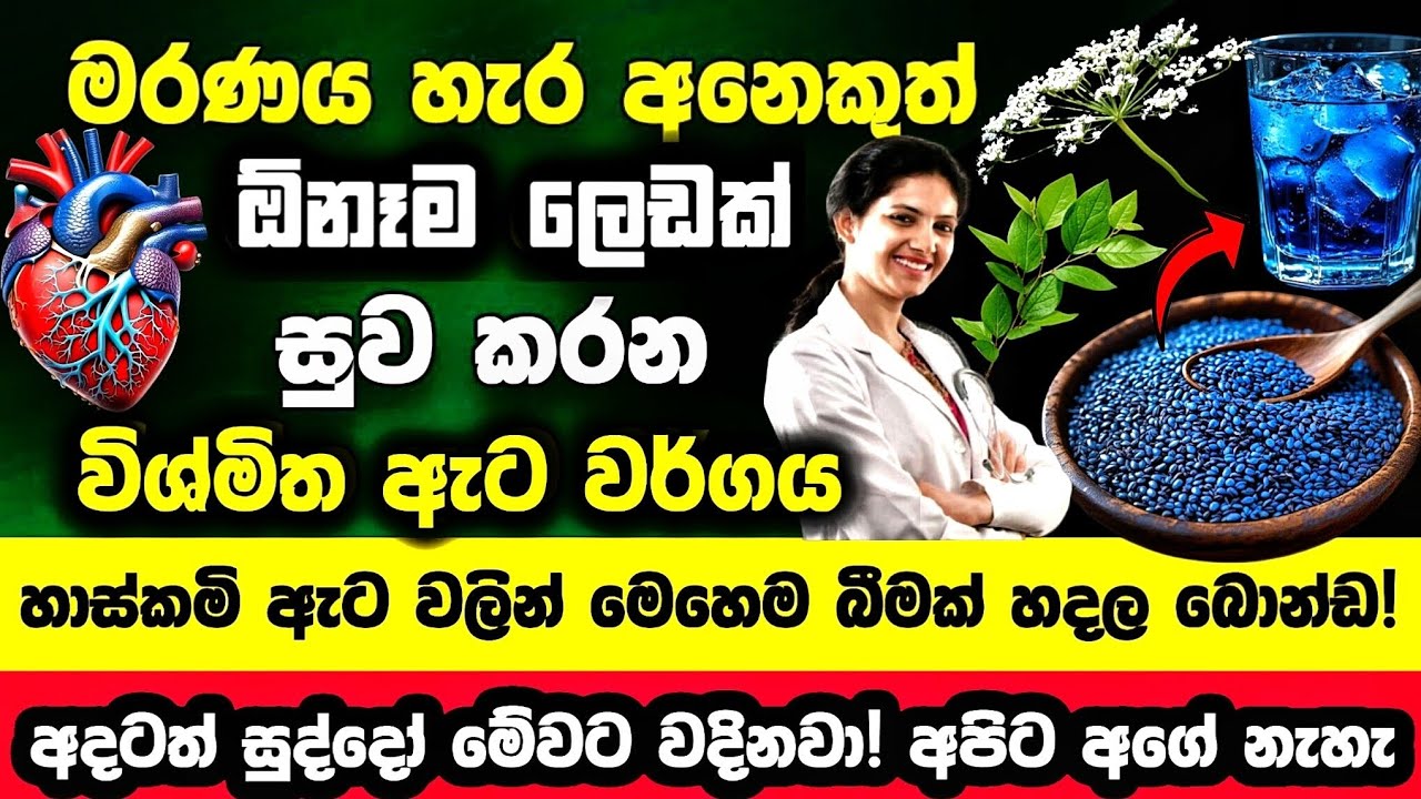 🔴අට අනූවක් රෝග වලට, රහත් හිමිවරැ පවා භාවිත කරපු නිල් ඇට වර්ගය! ඇට 5 හොදටම ඇති!