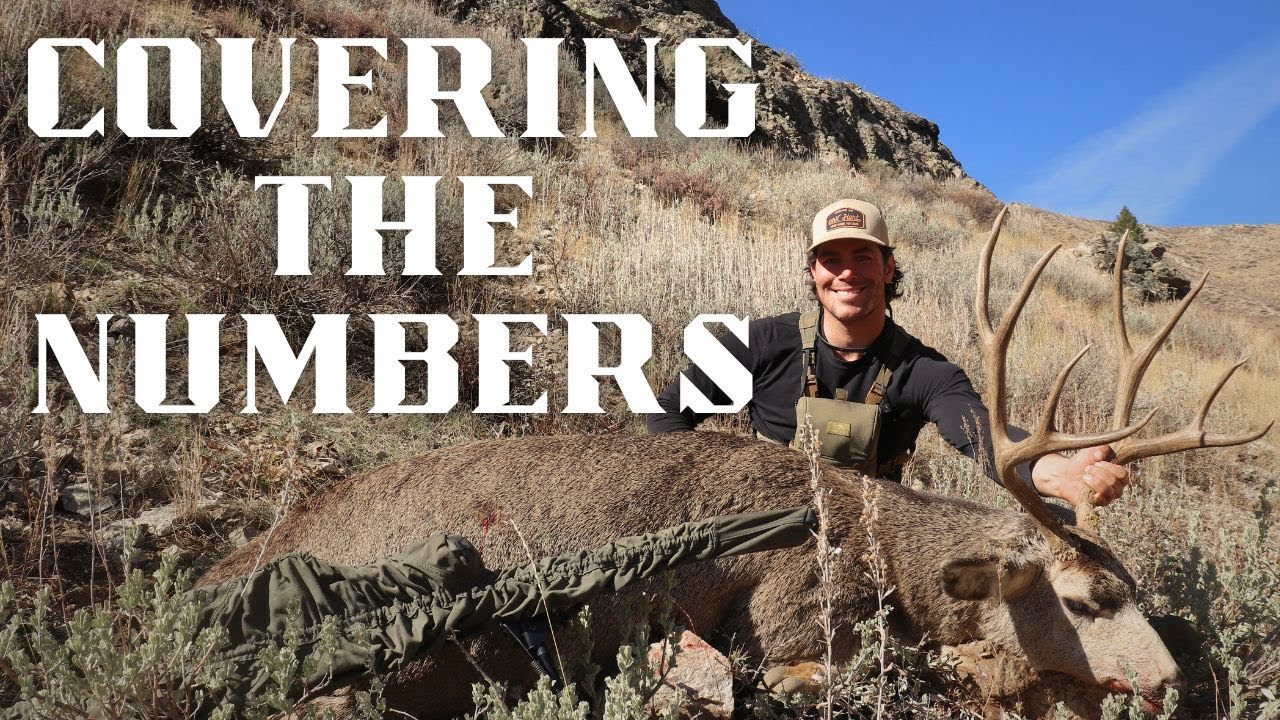 COVERING THE NUMBERS | Rifle Mule Deer