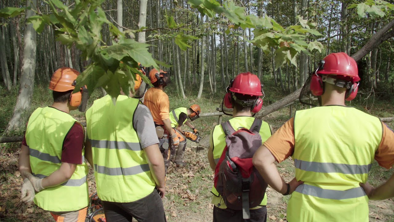 8  La Formación Profesional en los Pirineos