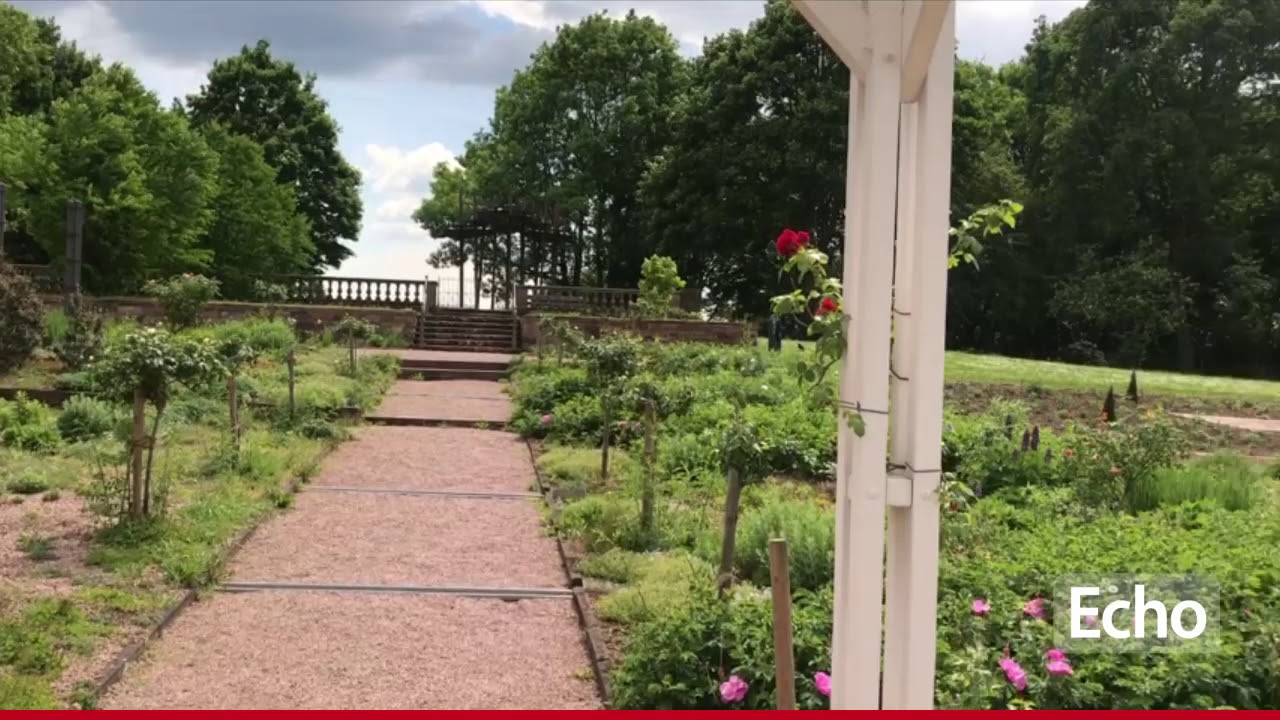 Rundgang auf der Rosenh&ouml;he in Darmstadt