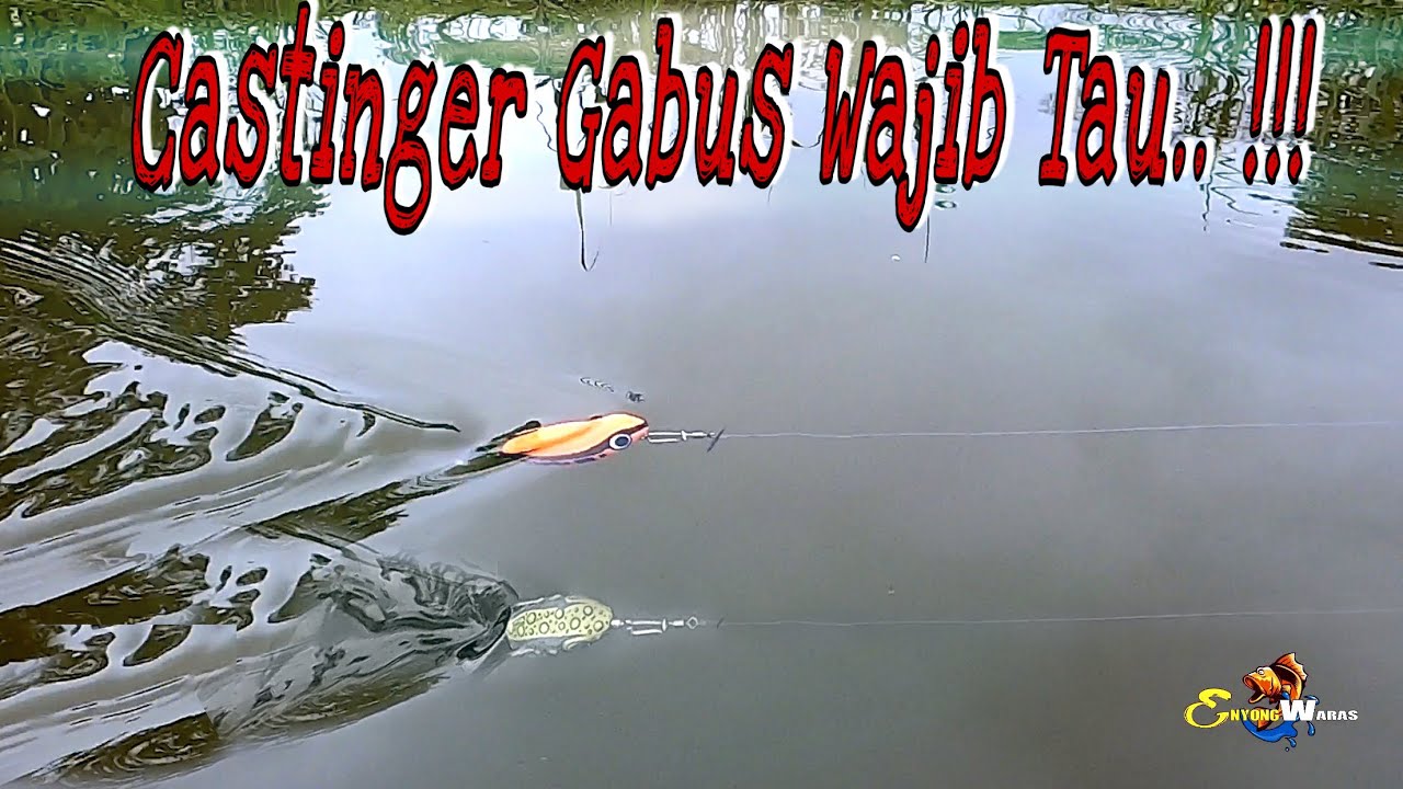 Umpan casting ikan gabus || umpan jitu mancing gabus || lure fishing || soft frog