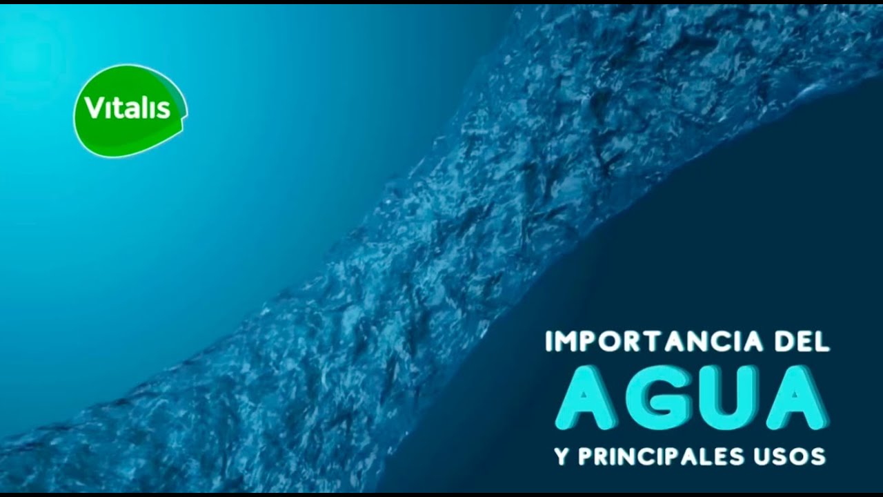 Importancia del Agua y principales usos