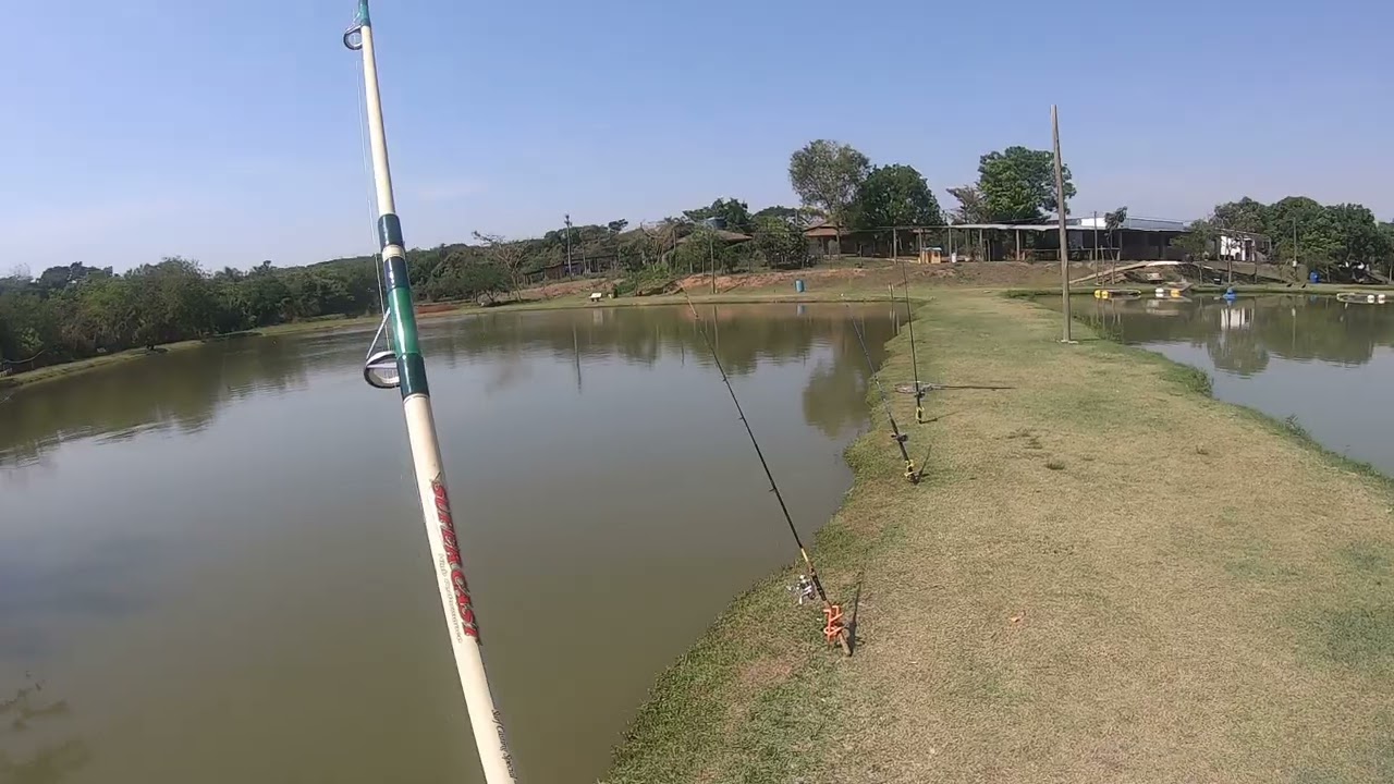 2025  17  10  Pesqueiro Dalben