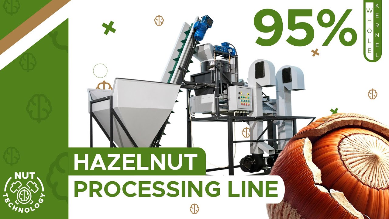 Hazelnut Processing Line | Modern Solutions for Your Production
