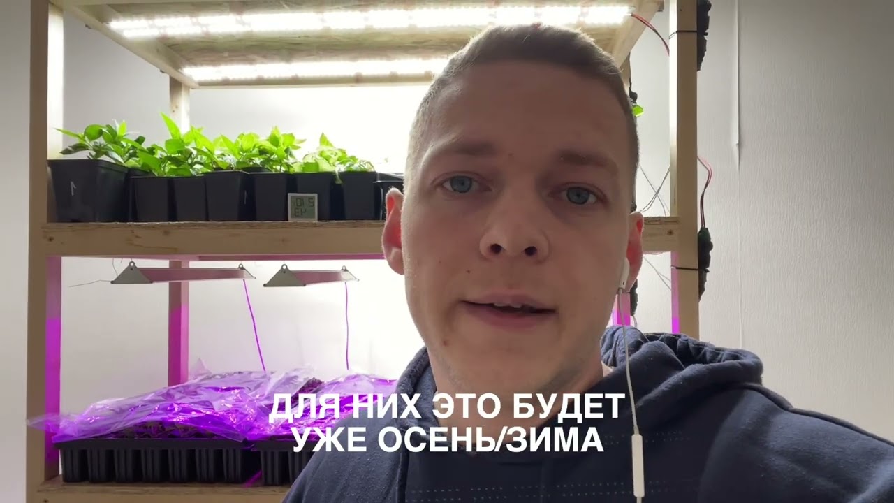 Нельзя ГОРТЕНЗИИ держать ДОМА, зачем нужна ЗИМОВКА?