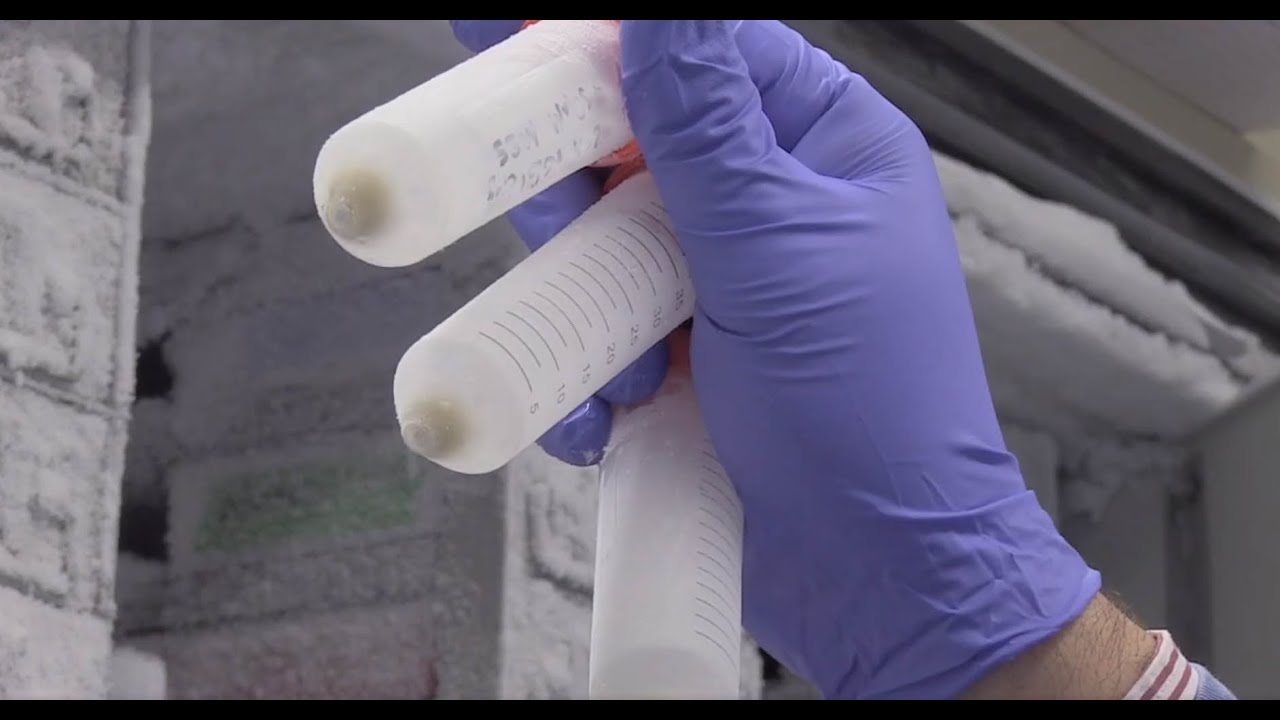 Insulin production using synthetic biology