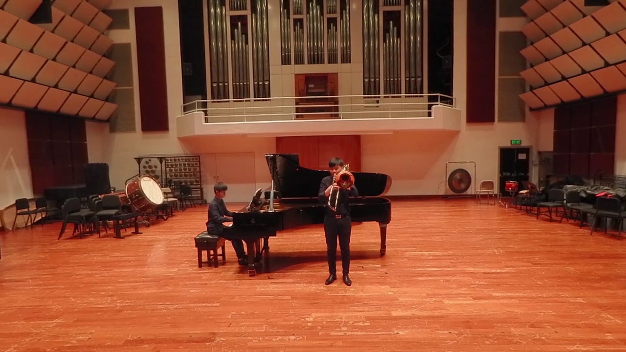 Lebedev: Concert Allegro