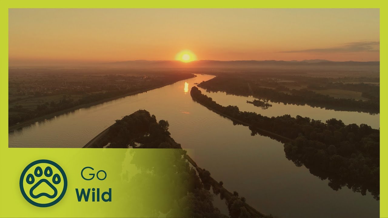 The Invisible River | Go Wild
