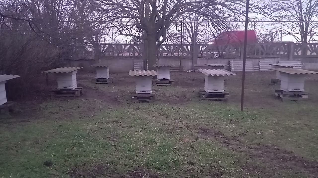 Математика северо-крымского улья подтверждённая моей практикой и искусственным интеллектом.