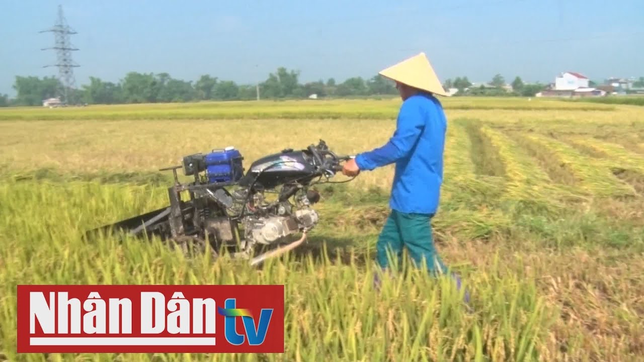 Tự chế tạo máy gặt lúa, giúp nâng cao năng suất thu hoạch
