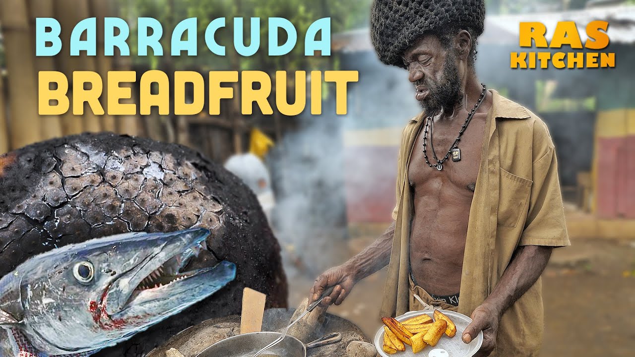 Baby Barracuda Breadfruit Bonanza!