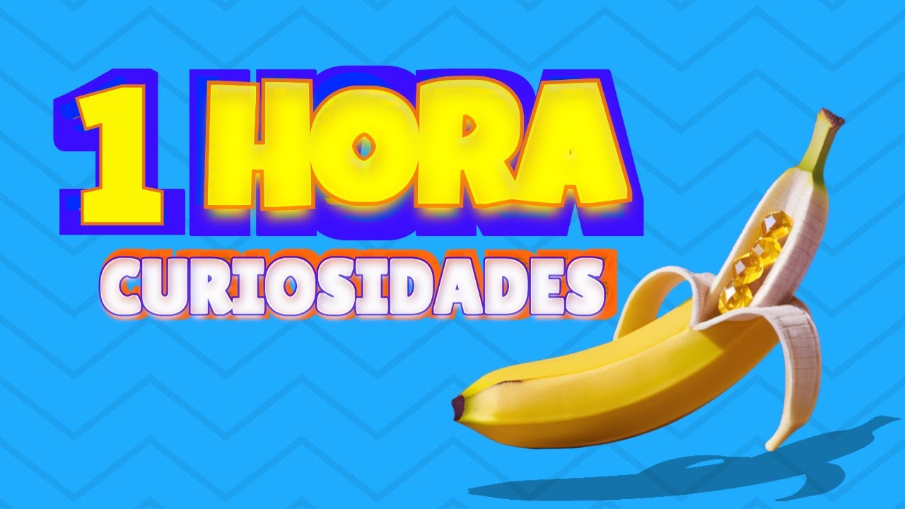 &iexcl;1 HORA de DATOS CURIOSOS y COSAS QUE NO SAB&Iacute;AS! ⏰🧠 [wilys]