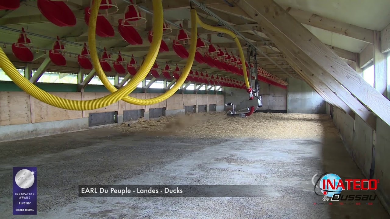 INATECO  - Sentinel Robot   Ducks & first bedding