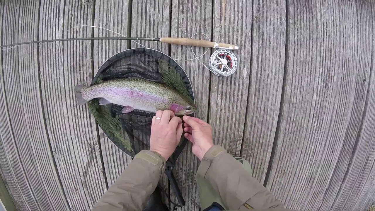 Greenwell's Glory Parachute dry fly, catching spring rainbow trout 28-4-2019 VCAC