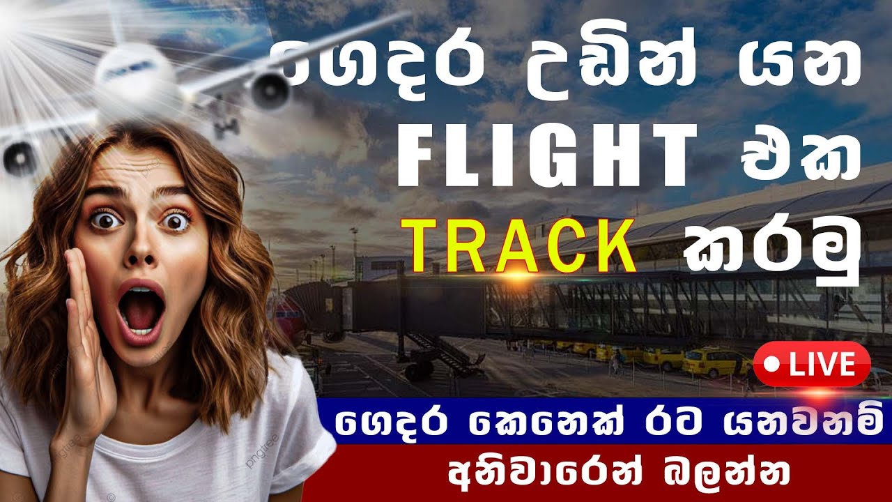 How to tracker flight flightradar24 sinhala | flight track | 2024 | #flight | flight tracker