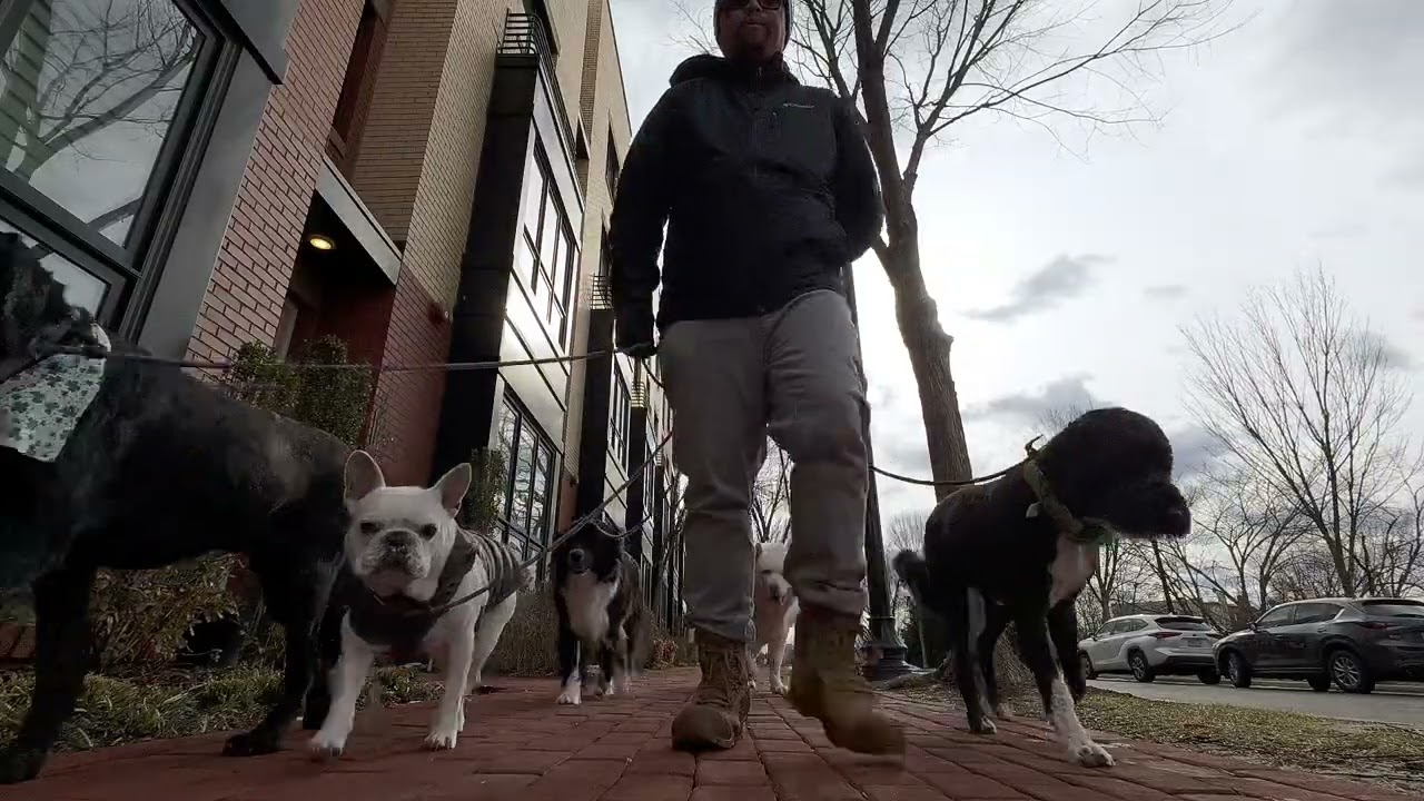 Pack walk reel 10