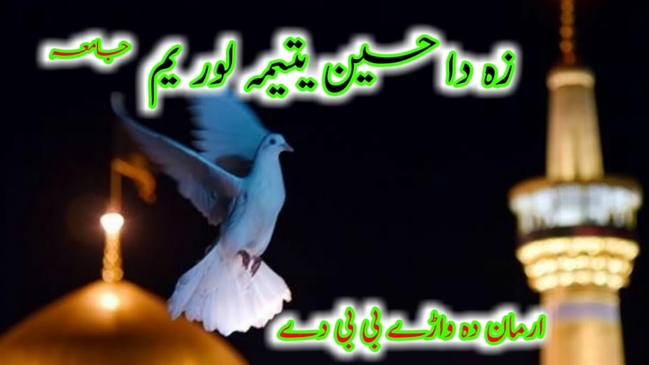 Za Da Hussain Yatima Lor Aim |  زہ دا حسینؑ یتیمہ لور ہم | Bibi Sakina Jama | Doya |New Jama