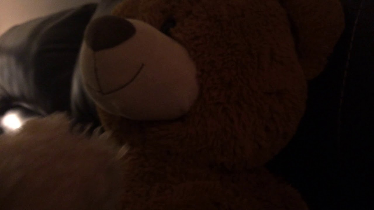 WRECKING MEAN BEAR!!